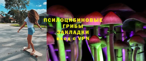 трава Инсар