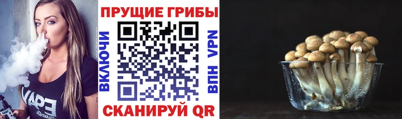 Псилоцибиновые грибы мухоморы  Качканар 