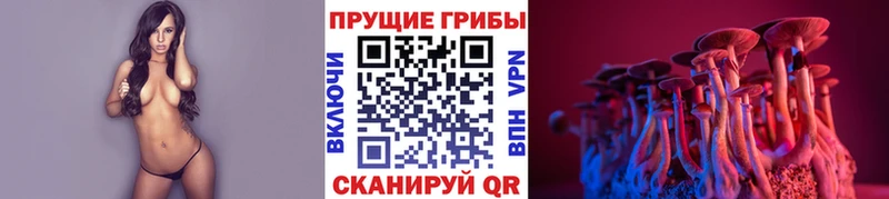 Галлюциногенные грибы Cubensis Качканар