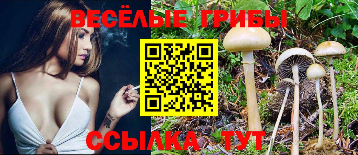 Псилоцибиновые грибы мицелий  Галлюциногенные грибы Magic Shrooms  Качканар  Вход с VPN 